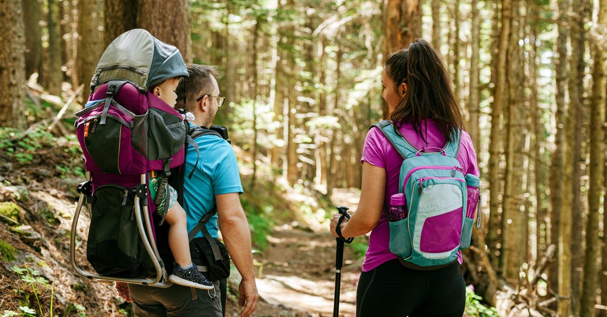 A mother and father hiking through a forest with their child in a carrier.