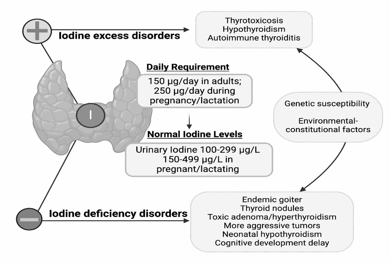 A line graph showing the U-shaped correlation between iodine intake levels and the risk of thyroid disorders.