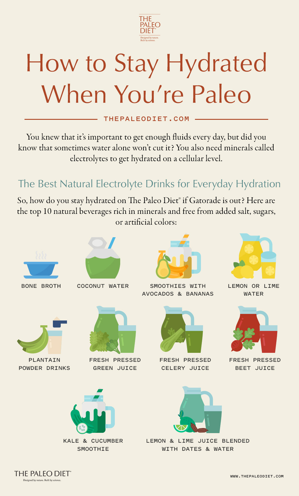 An infographic detailing hydration components and natural electrolyte sources.