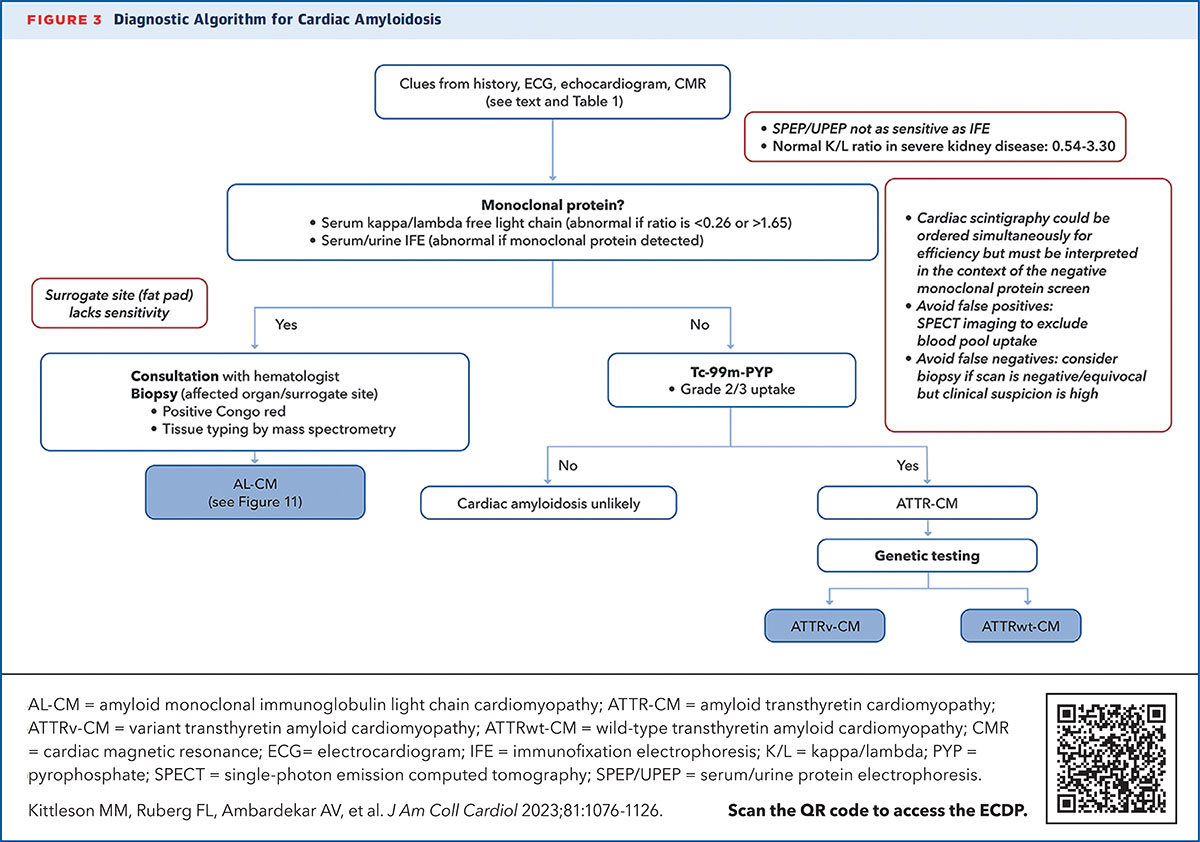 Graphic overview of patient care strategies and treatment options for amyloidosis focusing on protein stabilization and clinical management.