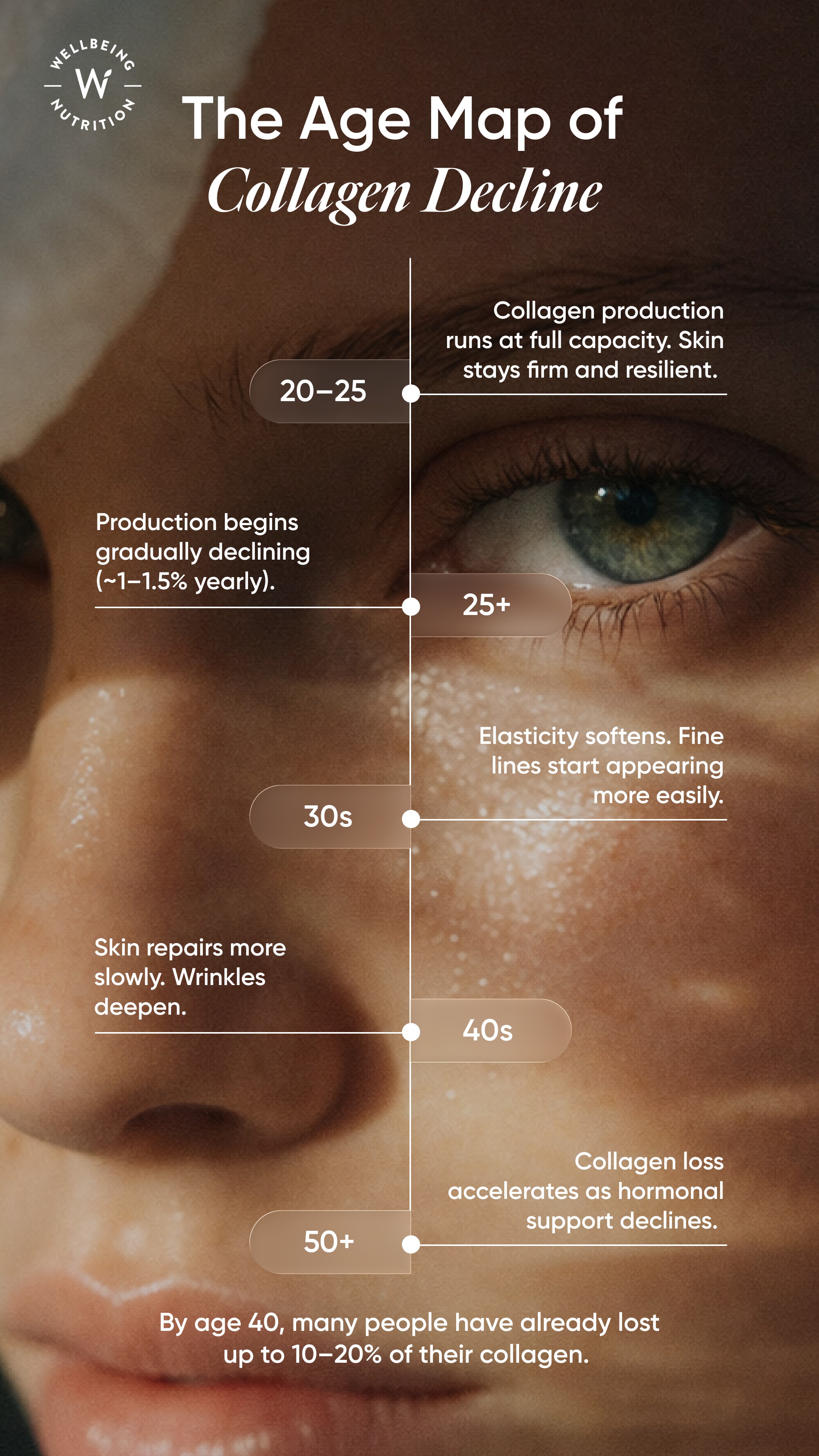 Infographic showing seven nutrients including Vitamin C and Zinc that support collagen production.