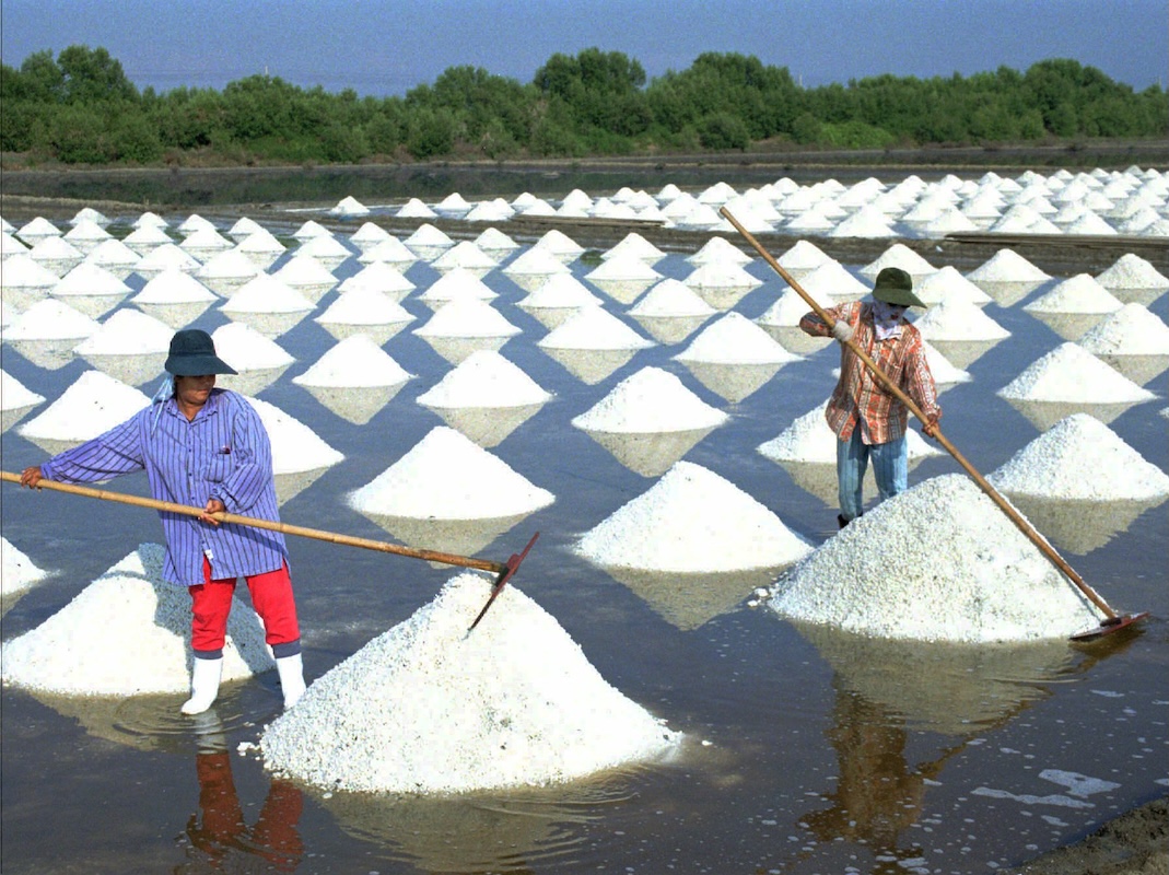Farmers harvesting white sea salt in large outdoor salt pans.