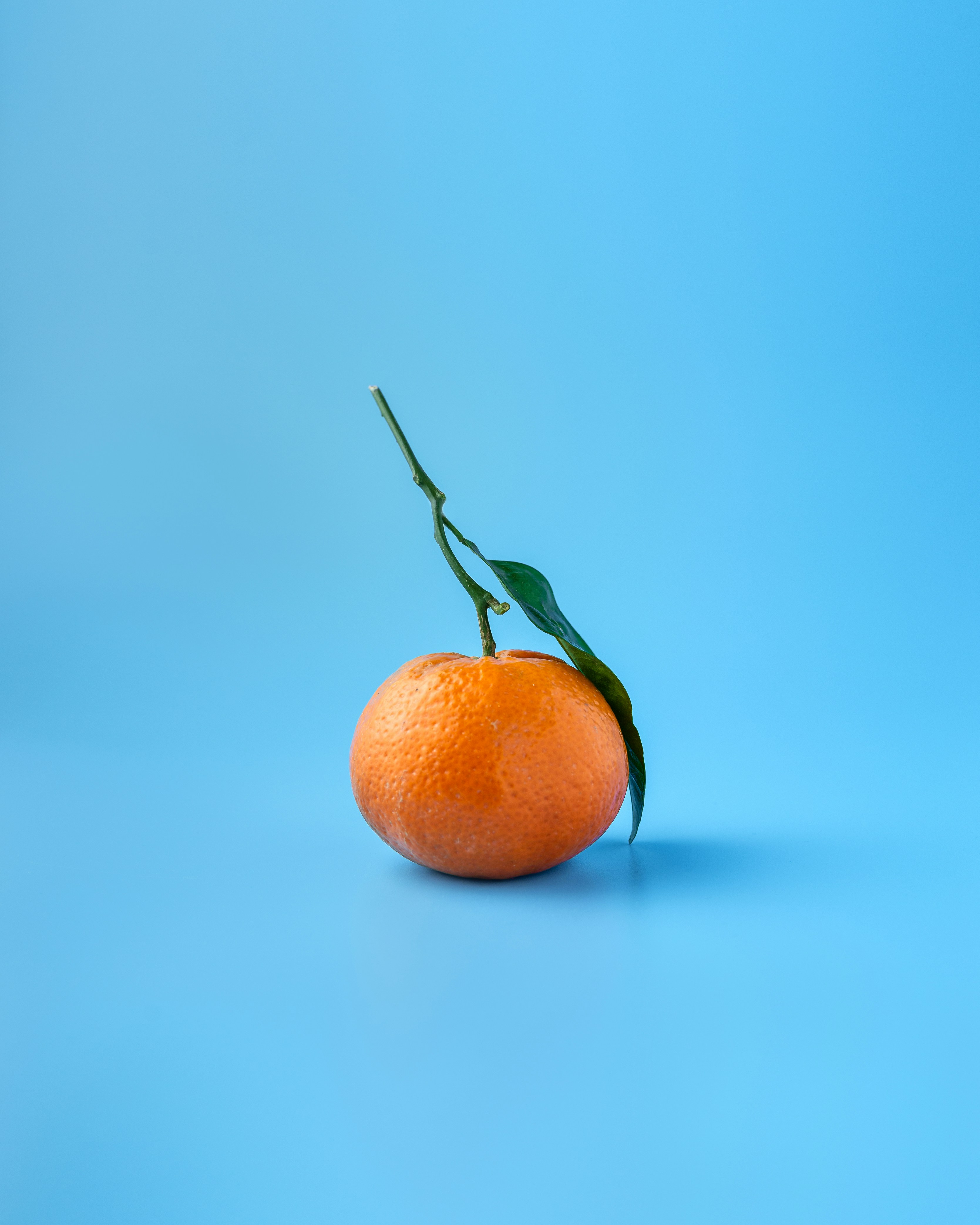 Fresh citrus fruits representing natural sources of Vitamin C to strengthen immune system.