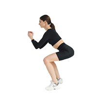 Anatomy-style illustration showing correct squat form and muscle engagement.