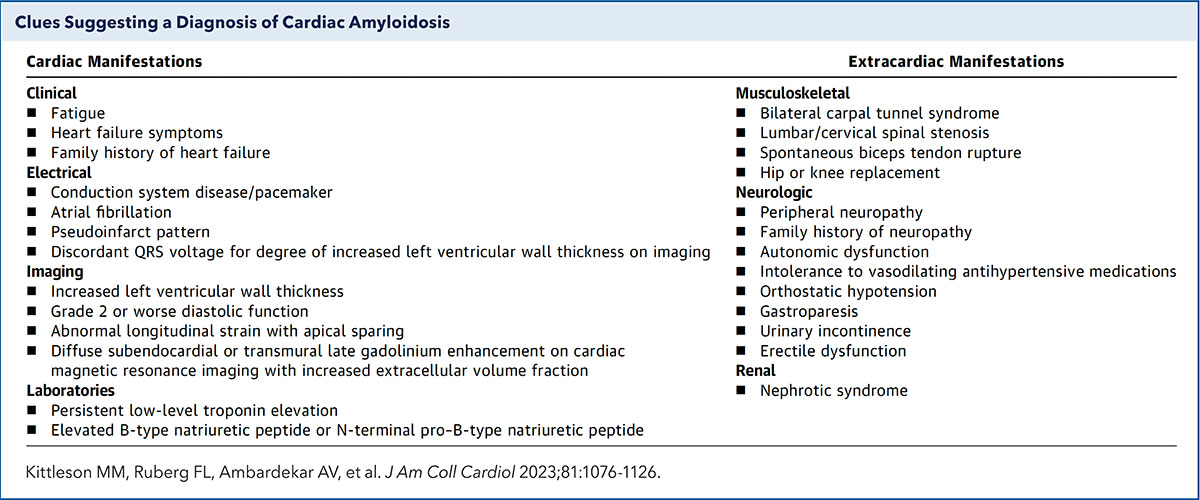 A clinical flowchart showing the two-step diagnostic process for cardiac amyloidosis including monoclonal protein screens and nuclear bone scintigraphy.