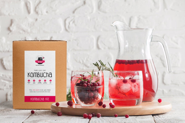 A kombucha SCOBY culture in a glass fermentation jar.