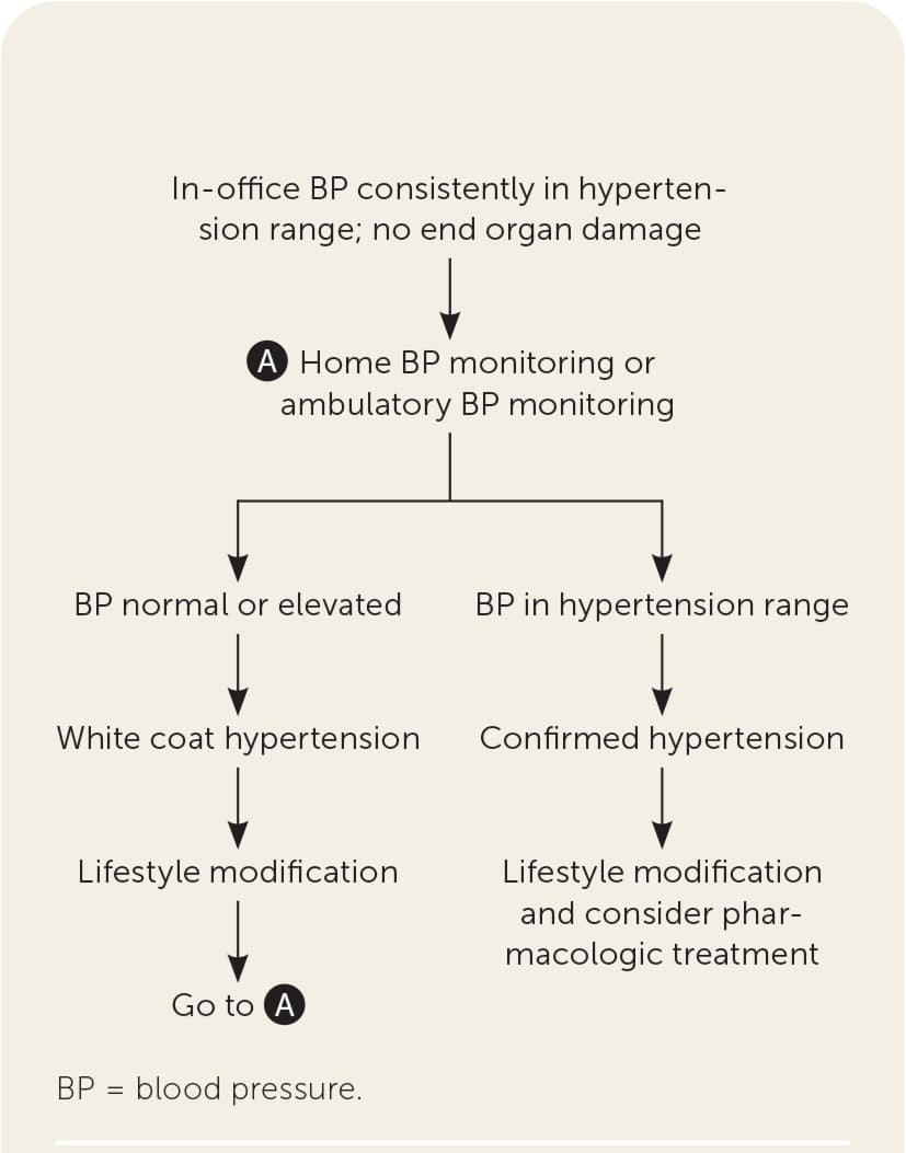 A clinical flowchart detailing the diagnostic steps for suspected white coat hypertension.