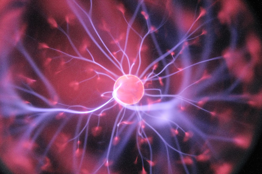 A clinical sleep laboratory where a scientist monitors brain activity and sleep cycles on computer screens.