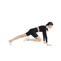 Person in a plank position performing mountain climber movements.