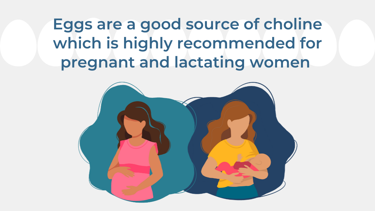 Graphic depicting the role of choline in brain health for prenatal development and elderly cognitive support.