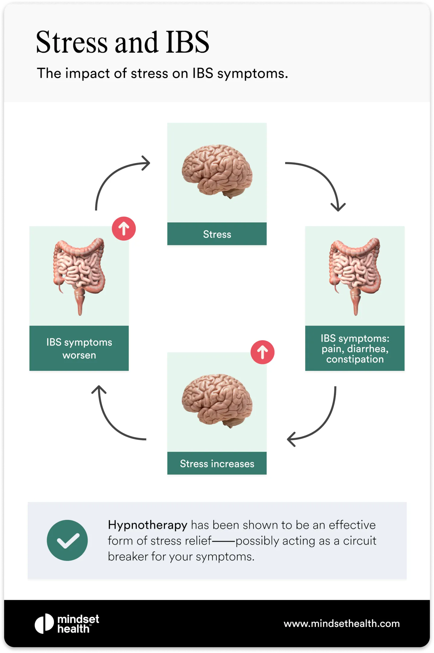 A circular flow diagram showing the relationship between stress, brain signals, and irritable bowel symptoms.
