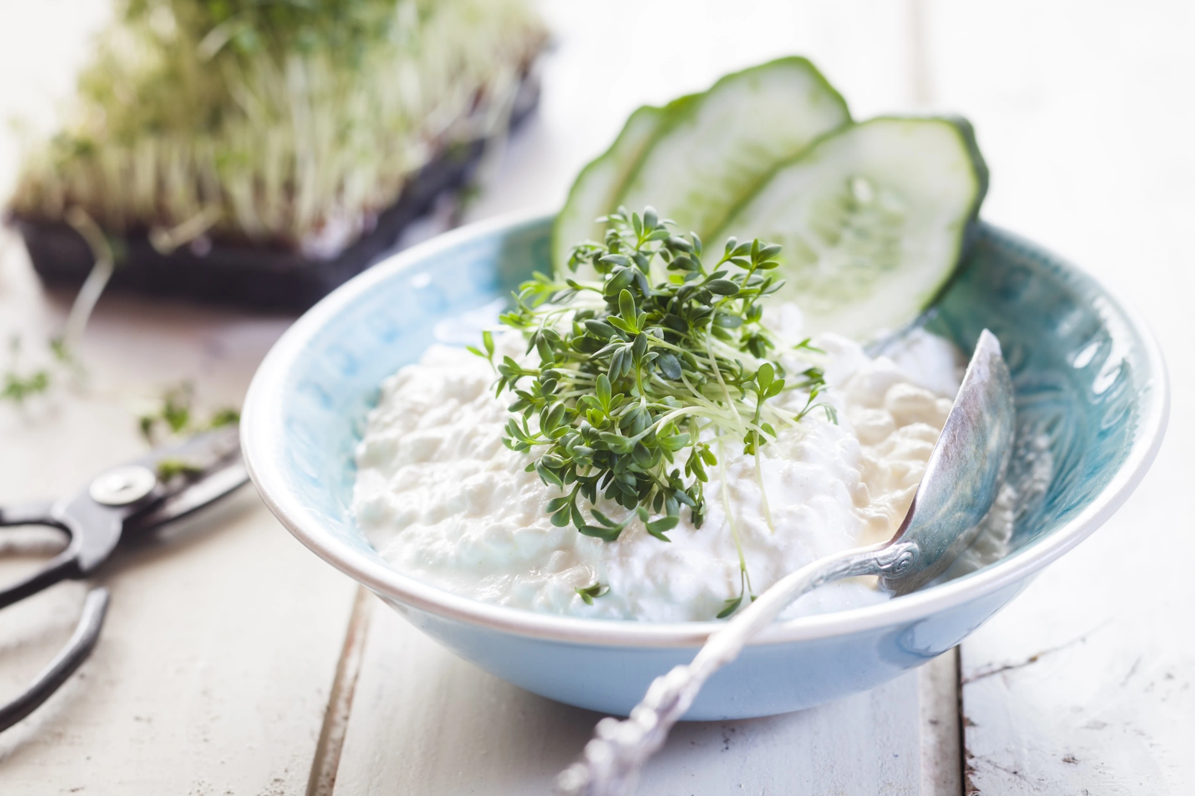 A bowl of cottage cheese garnished with fresh greens and cucumber slices.