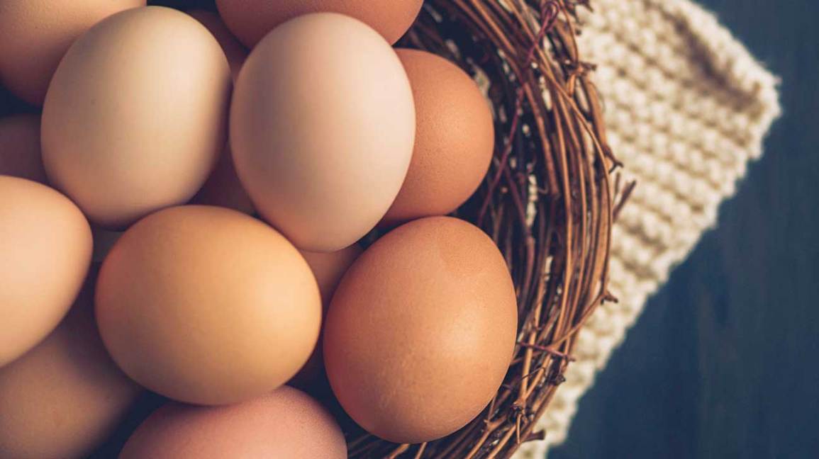 Egg Health Benefits: The Truth About B12, D, and Choline