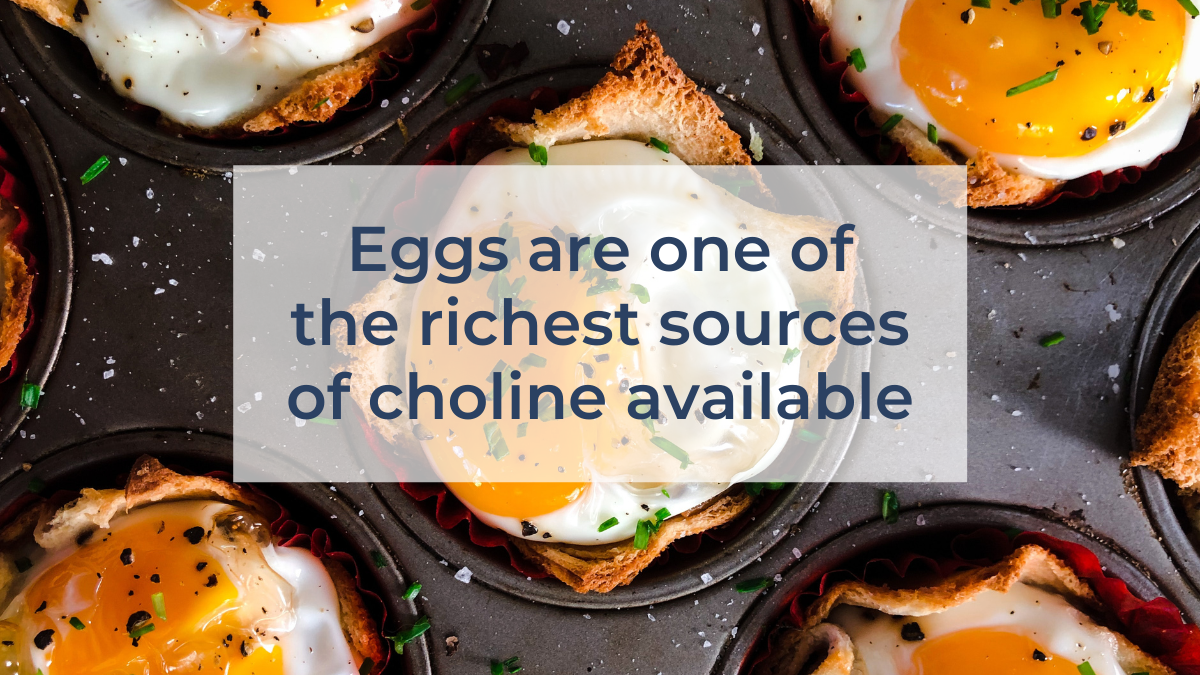 Nutritional graphic illustrating eggs as a source of Choline, Vitamin D, and B12.