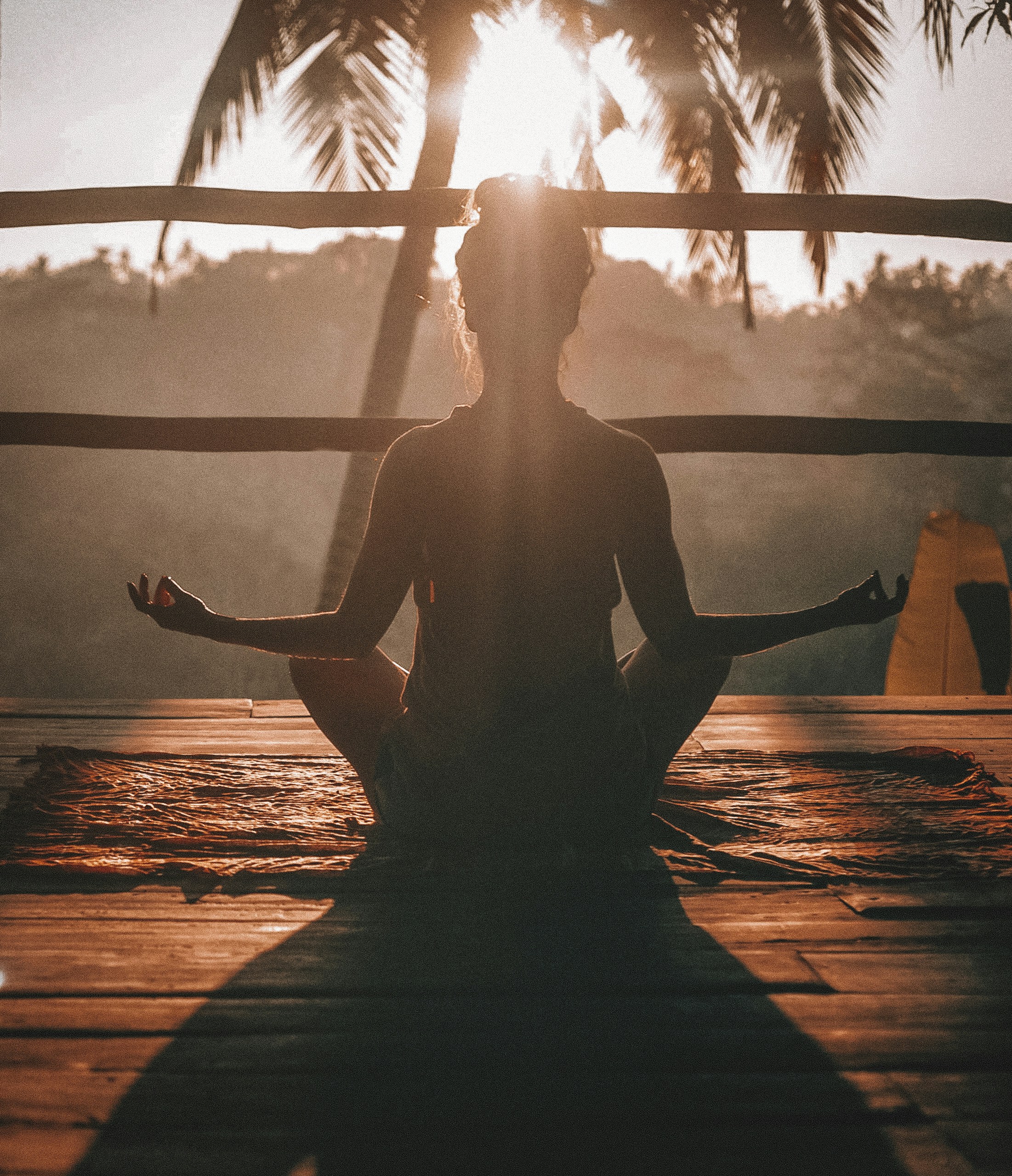 Nervous System Regulation: Why Pushing Harder Fails